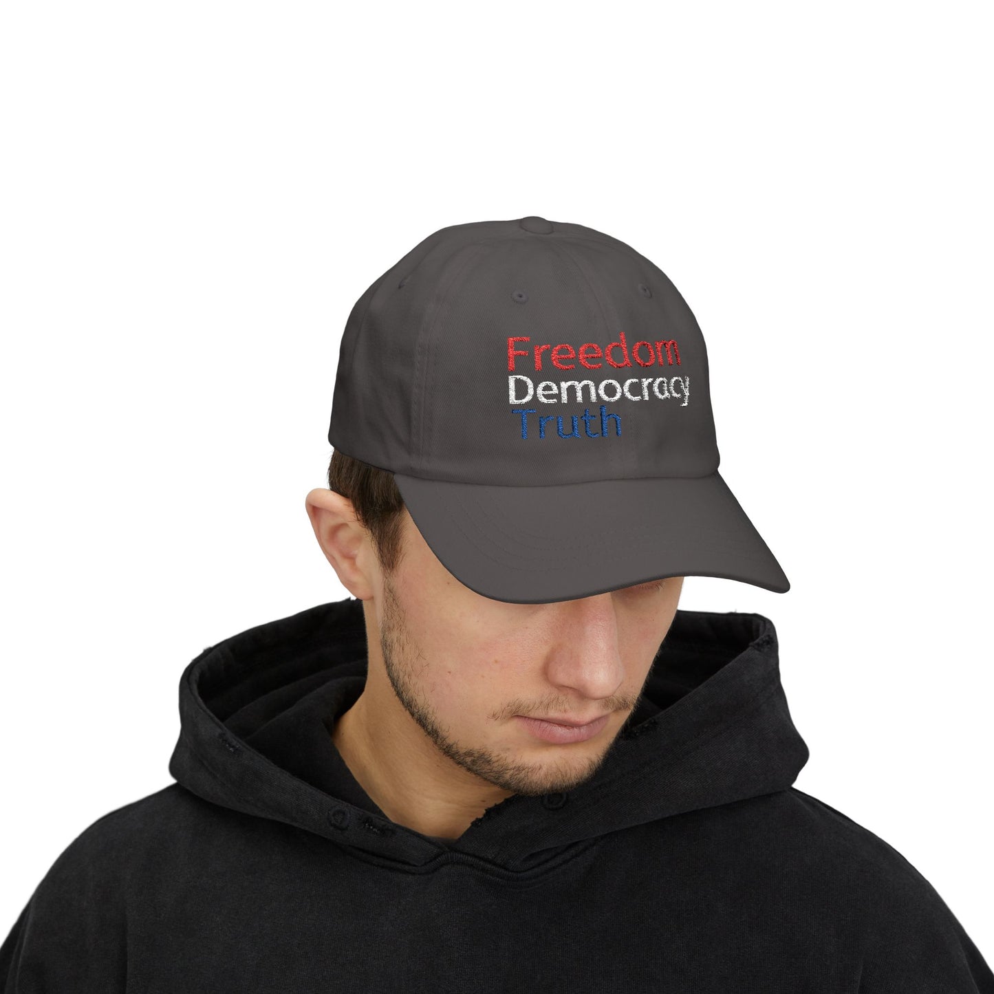 Freedom Democracy Truth, Political Enthusiasts,