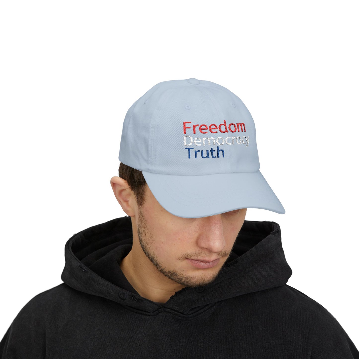 Freedom Democracy Truth, Political Enthusiasts,